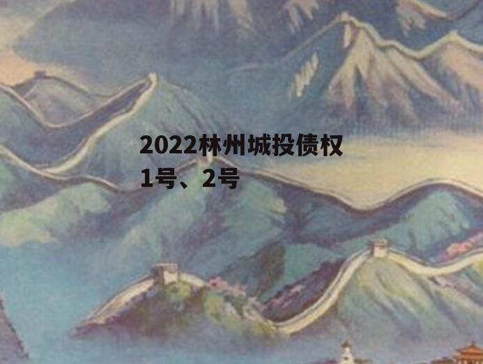 2022林州城投债权1号、2号