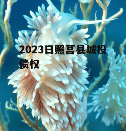 2023日照莒县城投债权