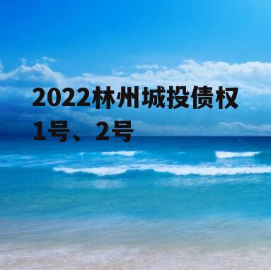 2022林州城投债权1号、2号