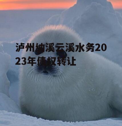 泸州纳溪云溪水务2023年债权转让