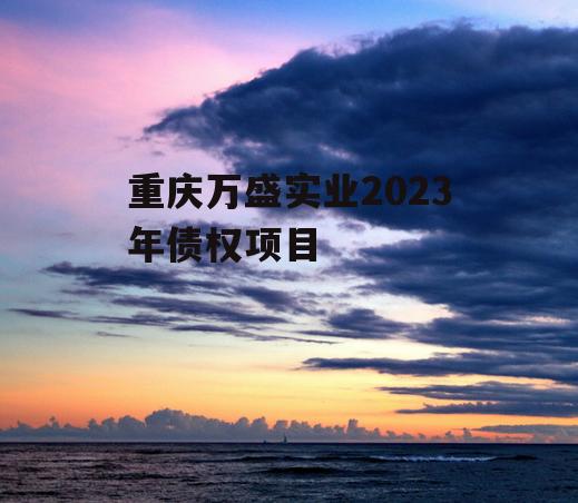 重庆万盛实业2023年债权项目