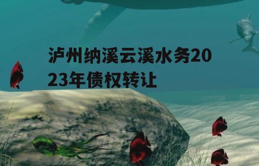 泸州纳溪云溪水务2023年债权转让