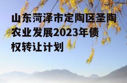 山东菏泽市定陶区圣陶农业发展2023年债权转让计划