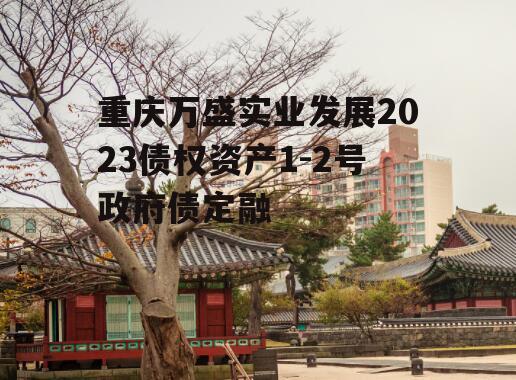 重庆万盛实业发展2023债权资产1-2号政府债定融