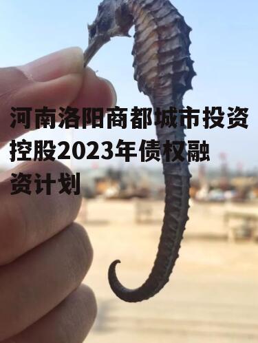 河南洛阳商都城市投资控股2023年债权融资计划