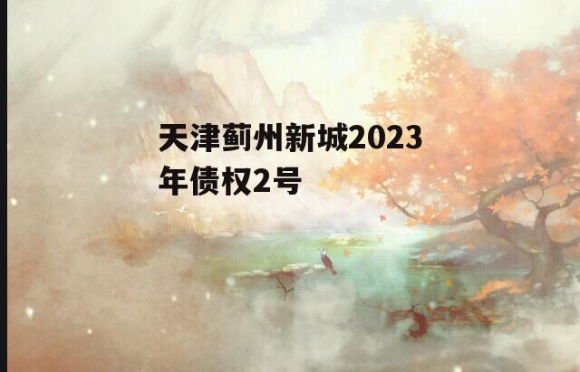 天津蓟州新城2023年债权2号