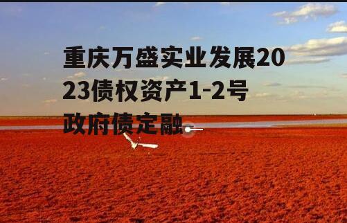 重庆万盛实业发展2023债权资产1-2号政府债定融