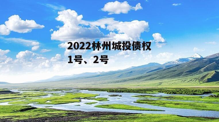 2022林州城投债权1号、2号