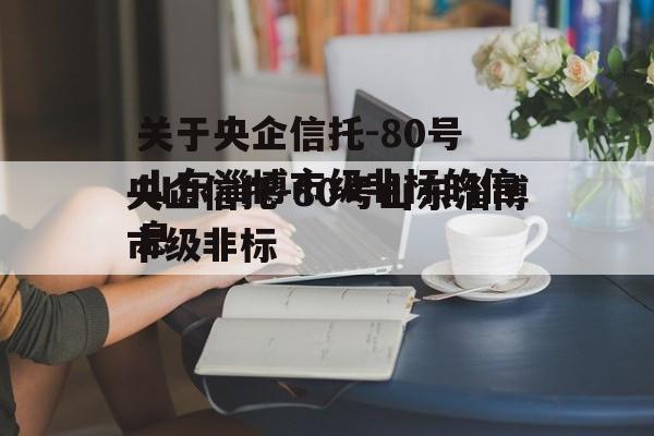 关于央企信托-80号山东淄博市级非标的信息