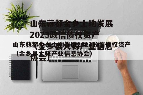 山东蒜都金乡土地发展2023政信债权资产（金乡县大蒜产业信息协会）