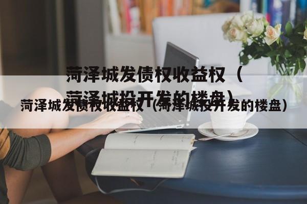 菏泽城发债权收益权（菏泽城投开发的楼盘）