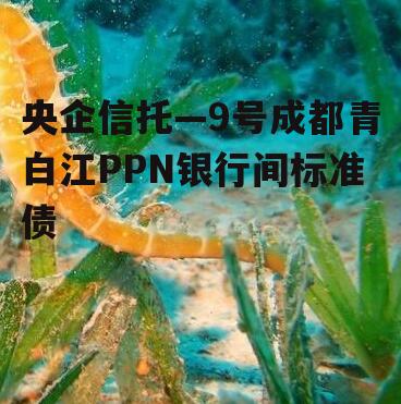 央企信托—9号成都青白江PPN银行间标准债