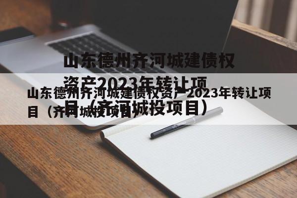 山东德州齐河城建债权资产2023年转让项目（齐河城投项目）