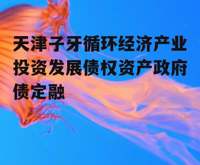 天津子牙循环经济产业投资发展债权资产政府债定融