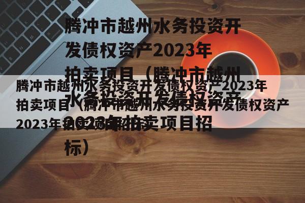 腾冲市越州水务投资开发债权资产2023年拍卖项目（腾冲市越州水务投资开发债权资产2023年拍卖项目招标）