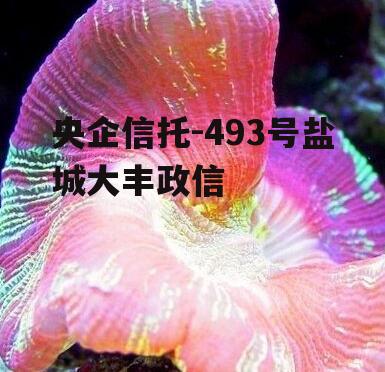 央企信托-493号盐城大丰政信