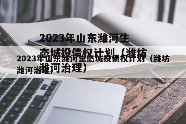 2023年山东潍河生态城投债权计划（潍坊潍河治理）