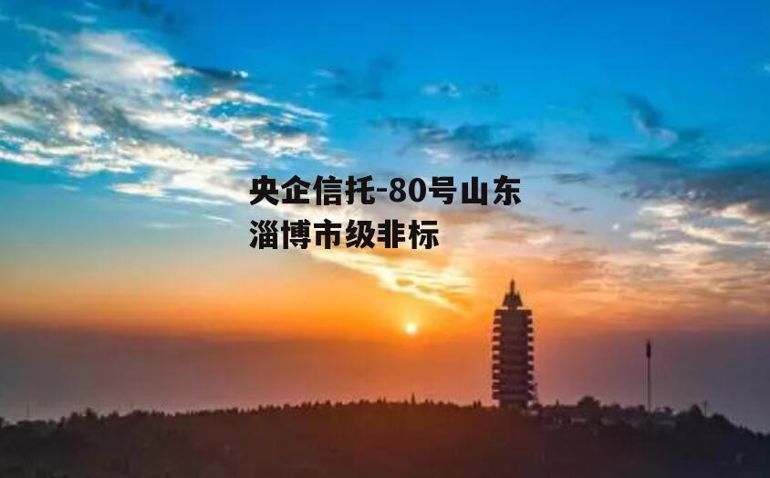 央企信托-80号山东淄博市级非标