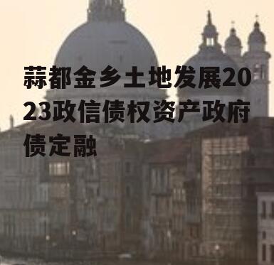 蒜都金乡土地发展2023政信债权资产政府债定融