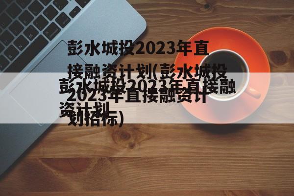 彭水城投2023年直接融资计划(彭水城投2023年直接融资计划招标)