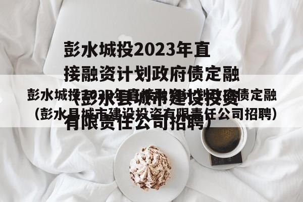 彭水城投2023年直接融资计划政府债定融（彭水县城市建设投资有限责任公司招聘）