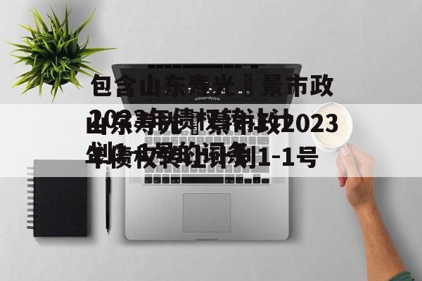 包含山东寿光昇景市政2023年债权转让计划1-1号的词条