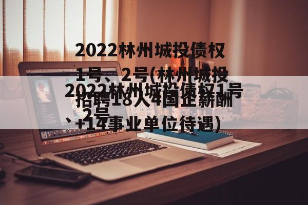 2022林州城投债权1号、2号(林州城投招聘18人4国企薪酬+14事业单位待遇)