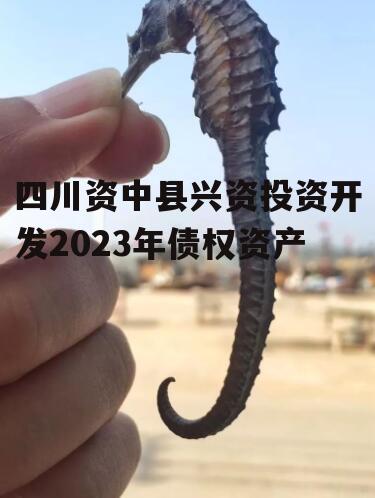 四川资中县兴资投资开发2023年债权资产