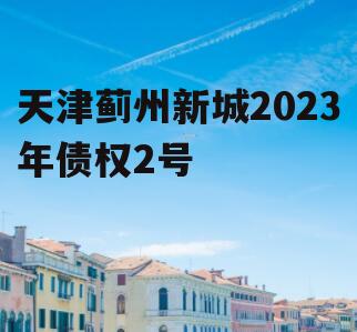 天津蓟州新城2023年债权2号