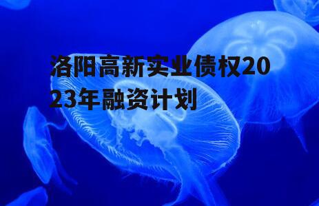 洛阳高新实业债权2023年融资计划