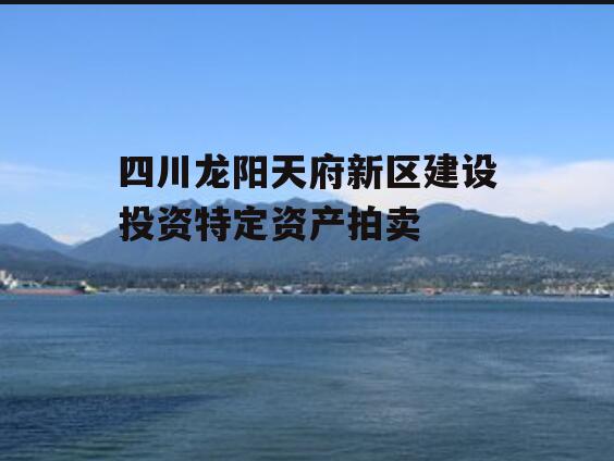 四川龙阳天府新区建设投资特定资产拍卖