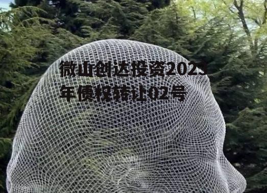 微山创达投资2023年债权转让02号