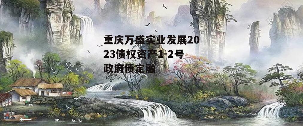 重庆万盛实业发展2023债权资产1-2号政府债定融