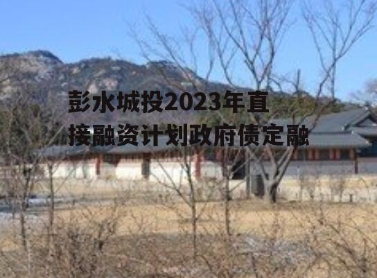 彭水城投2023年直接融资计划政府债定融