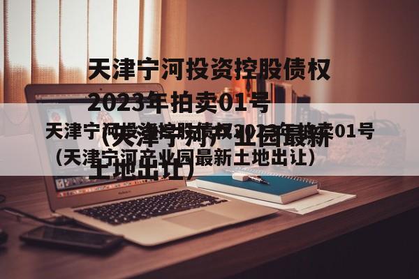 天津宁河投资控股债权2023年拍卖01号（天津宁河产业园最新土地出让）