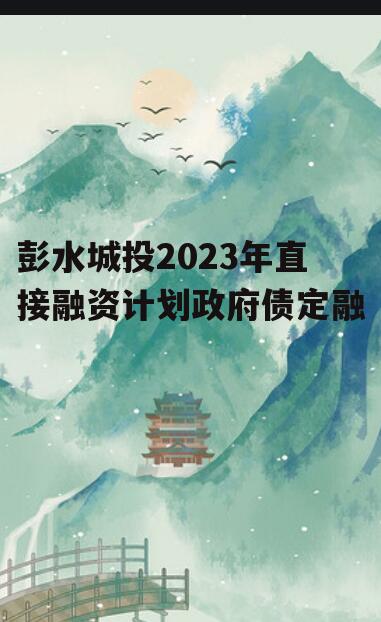 彭水城投2023年直接融资计划政府债定融