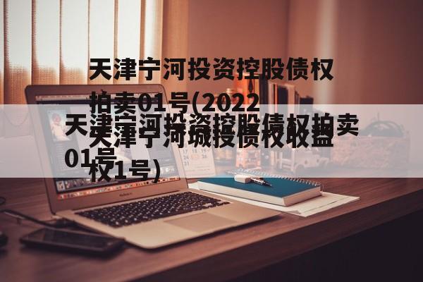 天津宁河投资控股债权拍卖01号(2022天津宁河城投债权收益权1号)