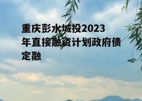 重庆彭水城投2023年直接融资计划政府债定融