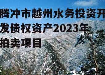 腾冲市越州水务投资开发债权资产2023年拍卖项目