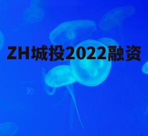 ZH城投2022融资