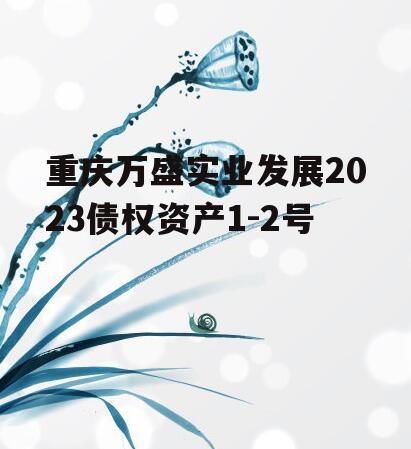 重庆万盛实业发展2023债权资产1-2号