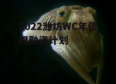 2022潍坊WC年债权融资计划