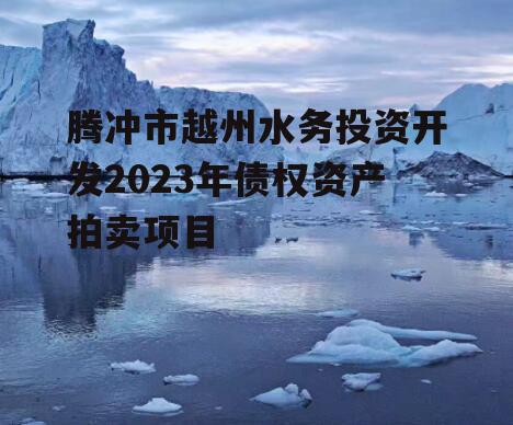 腾冲市越州水务投资开发2023年债权资产拍卖项目