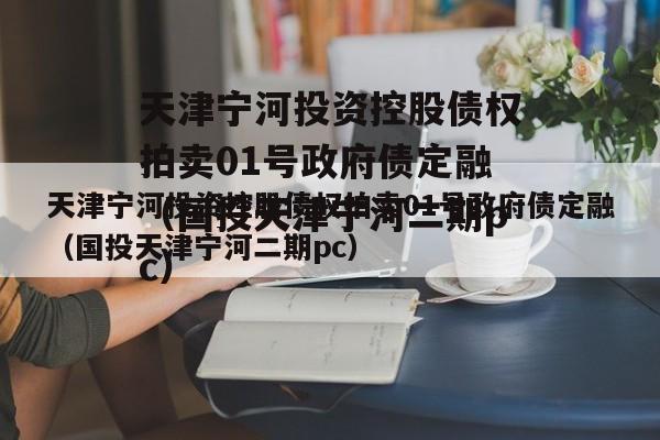 天津宁河投资控股债权拍卖01号政府债定融（国投天津宁河二期pc）