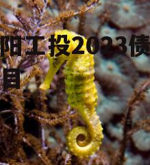 简阳工投2023债权项目