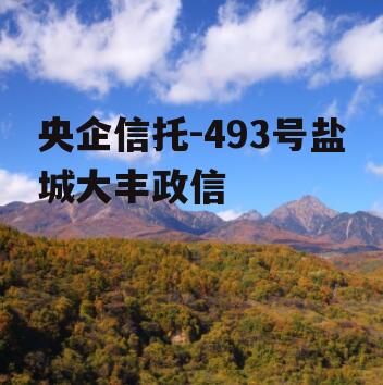 央企信托-493号盐城大丰政信