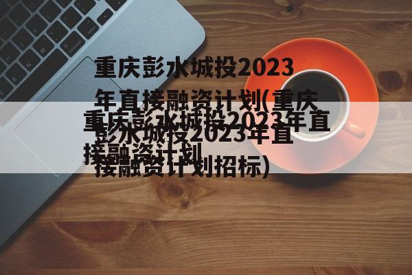 重庆彭水城投2023年直接融资计划(重庆彭水城投2023年直接融资计划招标)