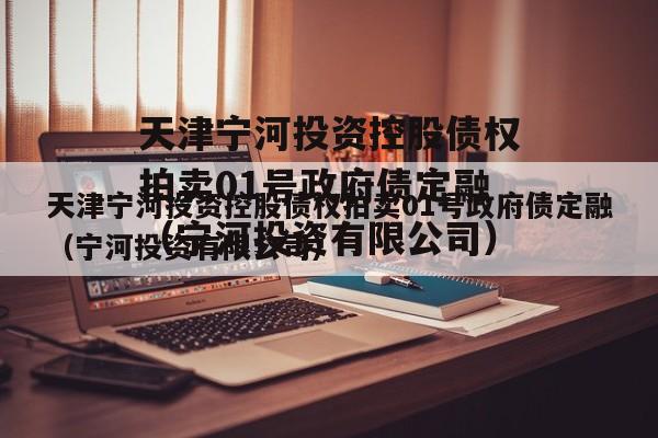 天津宁河投资控股债权拍卖01号政府债定融（宁河投资有限公司）