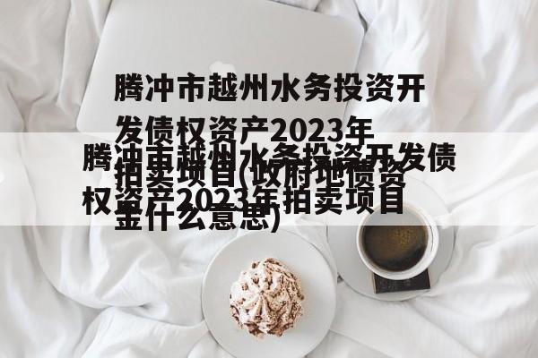 腾冲市越州水务投资开发债权资产2023年拍卖项目(政府地债资金什么意思)