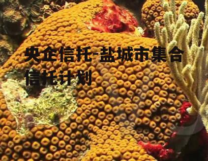 央企信托-盐城市集合信托计划